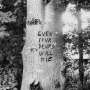 Richard Swift: Even Your Drums Will Die: Live At Pendarvis Farm 2, LP