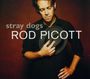 Rod Picott: Stray Dogs, CD