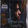 Jamael Dean: Primordial Waters, LP,LP