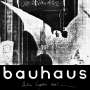 Bauhaus: The Bela Session (Reissue) (Black & Red Splattered Vinyl), LP