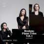 Johannes Brahms: Klaviertrios Vol.1, CD