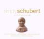 Franz Schubert: Simply Schubert, CD,CD,CD,CD
