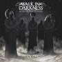 Walk In Darkness: In The Shadow Of Things, CD