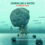 Schmoelling & Waters: The Immortal Tourist, CD