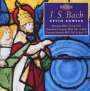 Johann Sebastian Bach: Orgelwerke Vol.13, CD,CD