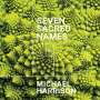 Michael Harrison: Seven Sacred Names, CD,CD