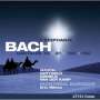 Johann Sebastian Bach: Kantaten BWV 72,81,155,156, CD