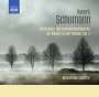 Robert Schumann: Orchester- und Kammermusikwerke für Klavier zu 4 Händen Vol.3, CD