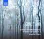Robert Schumann: Orchester- und Kammermusikwerke für Klavier zu 4 Händen Vol.4, CD