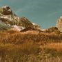 Yoo Doo Right: Build and Rest by the Shepherd's Light, LP