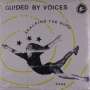 Guided By Voices: Scalping The Guru, LP