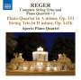 Max Reger: Sämtliche Streichtrios & Klavierquartette Vol.2, CD