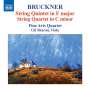 Anton Bruckner: Streichquintett F-dur, CD