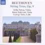Ludwig van Beethoven: Streichtrios Nr.3-5 (op.9 Nr.1-3), CD
