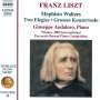 Franz Liszt: Klavierwerke Vol.24, CD
