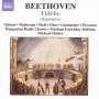 Ludwig van Beethoven: Fidelio op.72 (Ausz.), CD