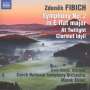 Zdenek Fibich: Orchesterwerke Vol.2, CD