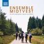 : Ensemble MidtVest plays Mozart and Dvorak, CD