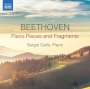 Ludwig van Beethoven: Klavierstücke & Fragmente (Skizzen,Miniaturen,Kadenzen,Transkriptionen,Arrangements), CD
