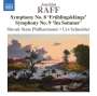 Joachim Raff: Symphonien Nr.8 "Frühlingsklänge" & Nr.9 "Im Sommer", CD