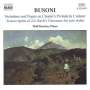 Ferruccio Busoni: Klavierwerke Vol.2, CD