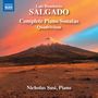 Luis Humberto Salgado, Complete Piano Sonatas, Quadrivium. Nicholas Susi, Piano. Berglandschaft bei Sonnenuntergang.