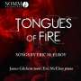 Eric McElroy: Lieder "Tongues of Fire", CD