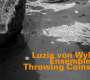 Luzia Von Wyl: Throwing Coins, CD