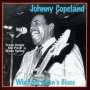 Johnny Copeland: Working Man's Blues, CD