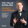 : The Tallis Scholars - Perfect Polyphony, CD,CD