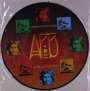 Anderson Ponty Band (Jon Anderson & Jean-Luc Ponty): Better Late Than Never (Picture Disc), LP