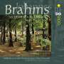 Johannes Brahms: Weltliche Vokal-Quartette mit Klavier Vol.1, SACD