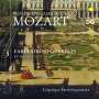 Wolfgang Amadeus Mozart: Frühe Streichquartette Vol.3, CD