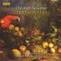 Christoph Graupner: Triosonaten, CD