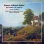 Johann Melchior Molter: Sinfonias & Arien, CD