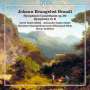 Johann Evangelist Brandl: Sinfonia concertante op.20, CD