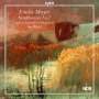 Emilie Mayer: Symphonien Nr.1 & 2, CD