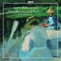 Anton Rubinstein: Streichquartette Vol.2, CD