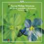 Georg Philipp Telemann: Triosonaten "Trietti metodichi e Scherzi", CD
