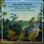 Mieczyslaw Weinberg: Violinsonaten Nr.1-3,6, CD,CD