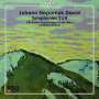 Johann Nepomuk David: Symphonien Nr.2 & 4, CD