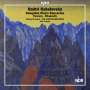 Dimitri Kabalewsky: Klavierkonzerte Nr.1-4, CD,CD