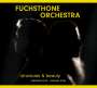 Fuchsthone Orchestra: Structures & Beauty, CD,CD