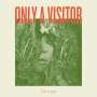 Only A Visitor: Decay (col.Vinyl), LP