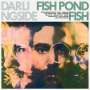 Darlingside: Fish Pond Fish, CD