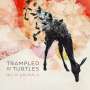 Trampled By Turtles: Wild Animals, CD