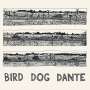 John Parish: Bird Dog Dante, CD