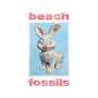 Beach Fossils: Bunny, CD
