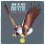 Big Country: The Seer (180g), LP