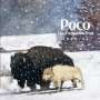 Poco: The Forgotten Trail (1969 - 74), CD,CD